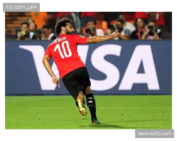 埃及与尼日尔刚果的足球对决谁能赢得胜利的荣耀与未来