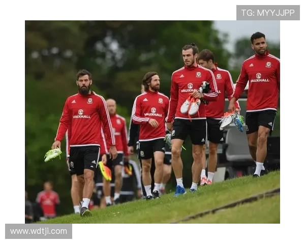 瑞士与威尔士足球对决全面分析及战术解析