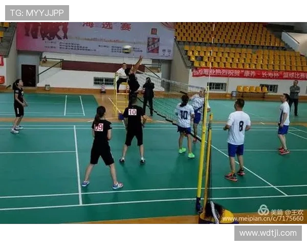 南京排球队在精英赛中的团队协作表现分析与反思