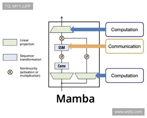 深圳排球队的战术解析与控制能力深度剖析 深圳排球队的战术解析与控制能力深度剖析