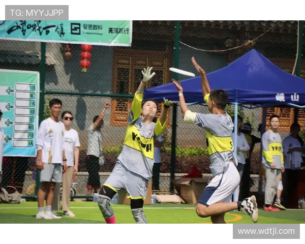 飞盘团队协作实力榜单权威发布引领竞技新风潮