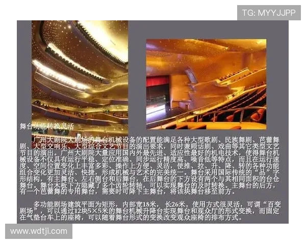 广州排球队个人能力分析与提升策略探讨